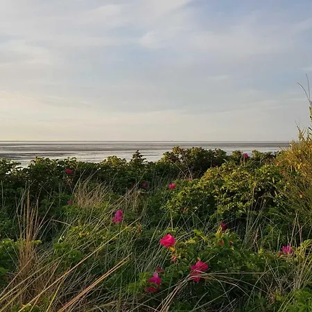 Residenz Deichgraf Apartament *