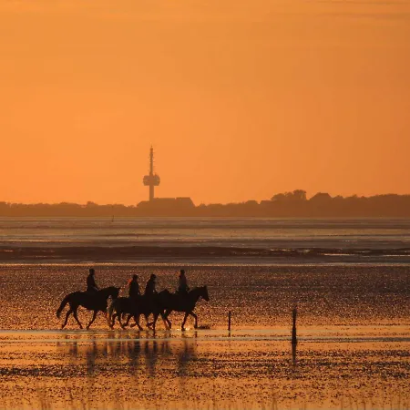 Residenz Deichgraf * クックスハーフェン